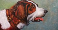 Cane - 13x11olio