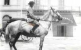 D A cavallo D