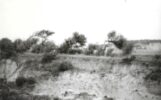 Paesaggio - campagna