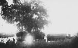 Paesaggio - costa_1