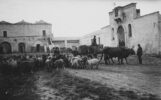 Paesaggio - pastorale_18