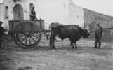 Paesaggio - pastorale_22