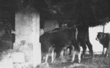 Paesaggio - pastorale_24