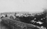 Paesaggio - pastorale_46