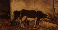 Mucca 36x22